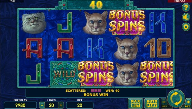 Cats Casino Game Free