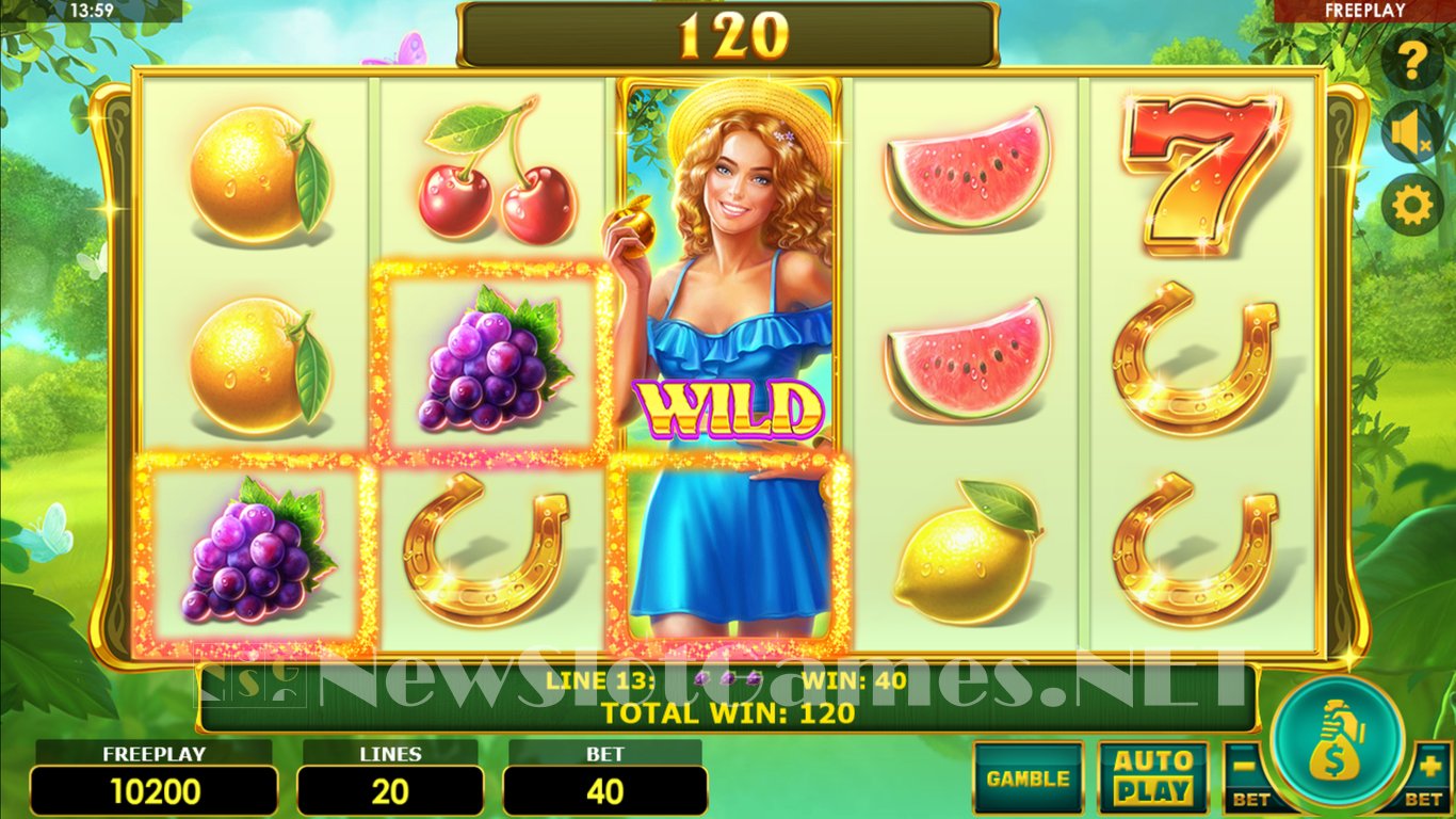 Lady Fruits 20 Slot (Amatic) Review 2024 & Demo Game