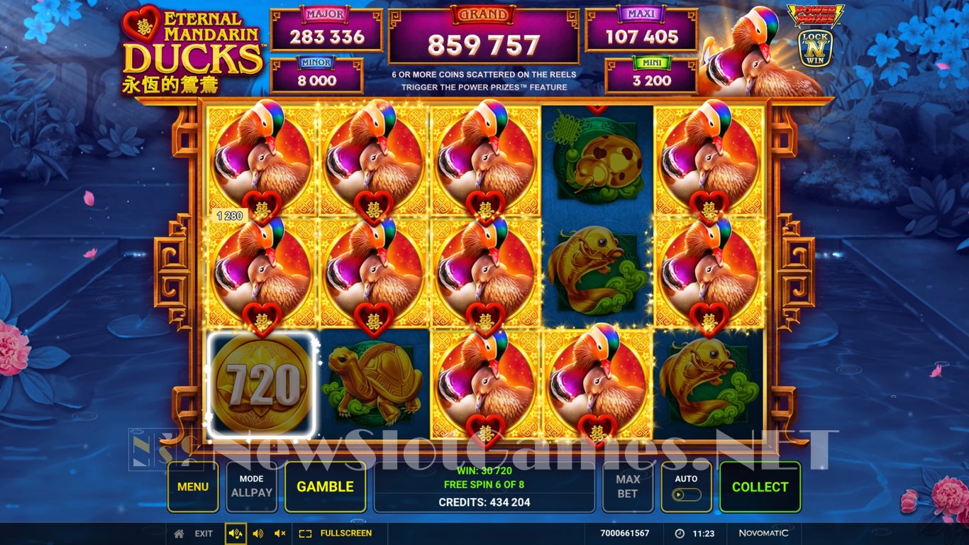 play slots free bonus no deposit Power Prizes - Eternal Mandarin Ducks Free Online Slots cash wizard slot machine online free play
