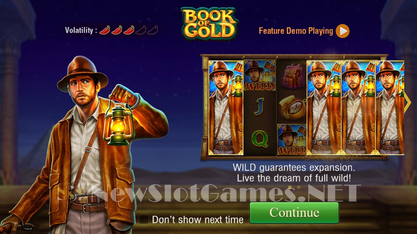 Book of Gold Slot (TaDa Gaming) Review 2024 & Demo Game