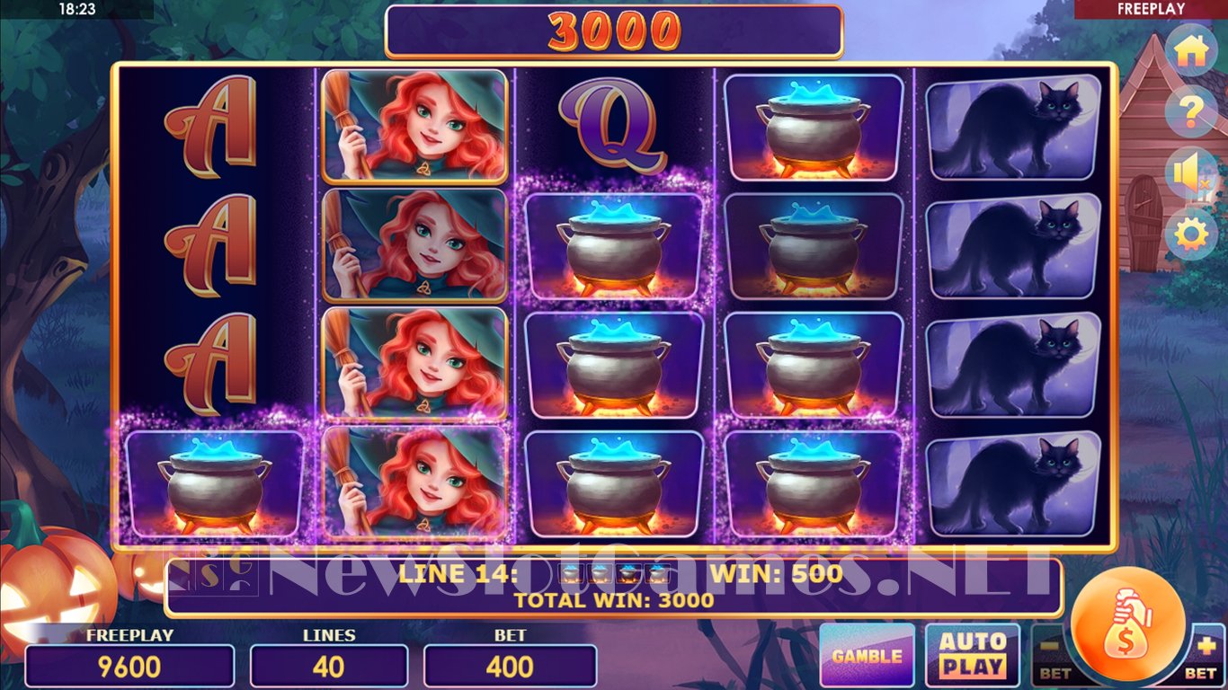 wild witch slot machine