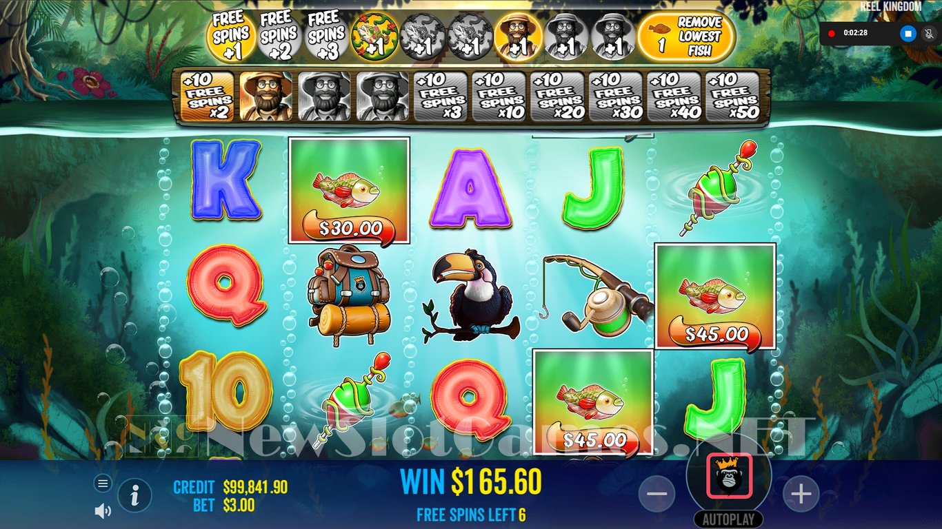 Big Bass Splash Review: Record Wins and Payout Insights