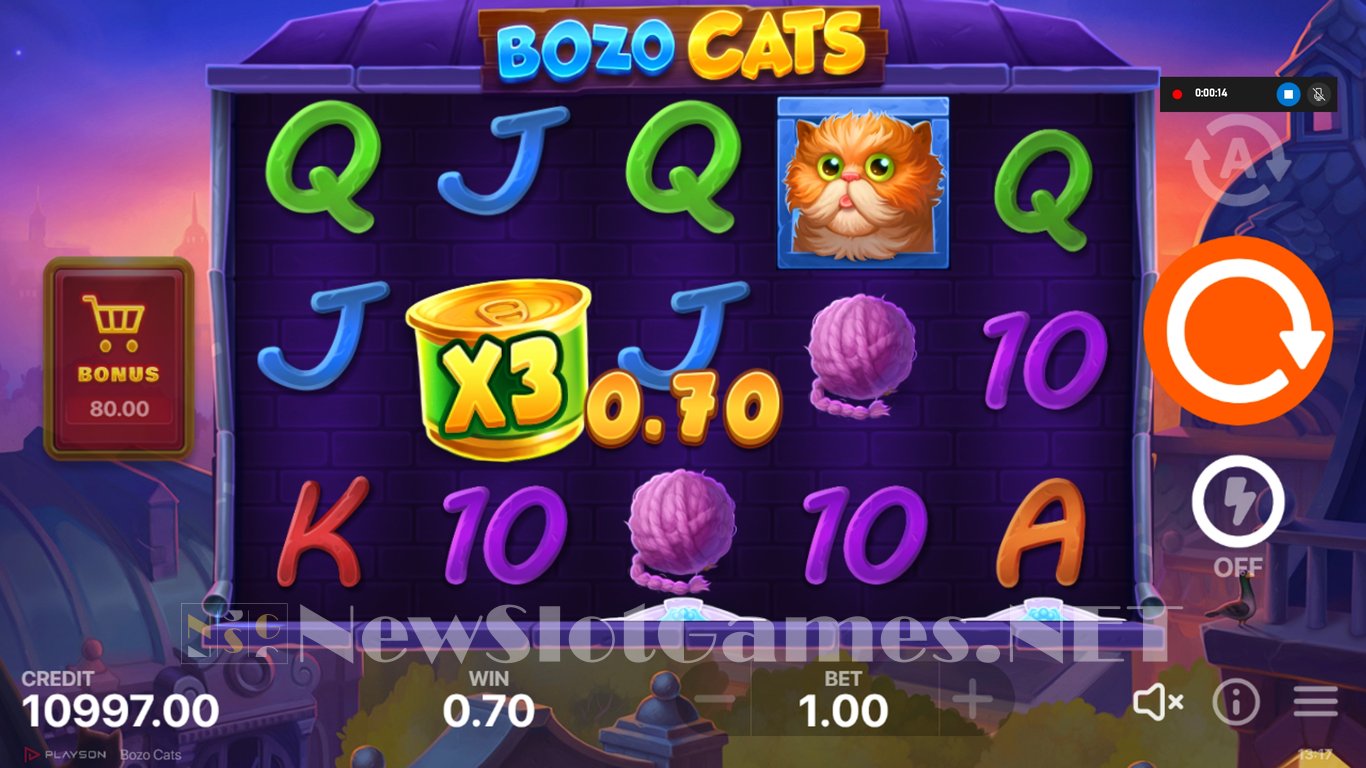 Bozo Cats Slot (Playson) Review 2024 & Demo Game