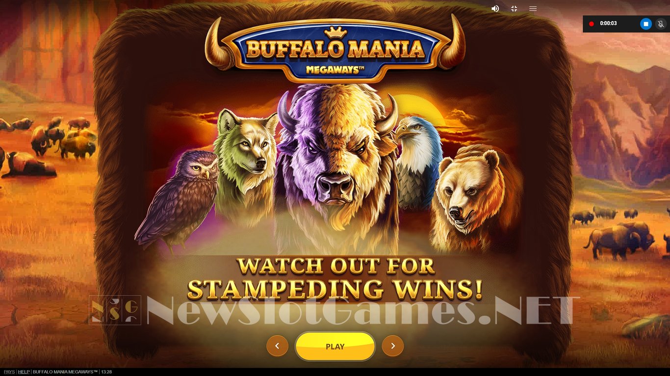 Buffalo King Megaways Review: Tactieken voor Elk Spelfase