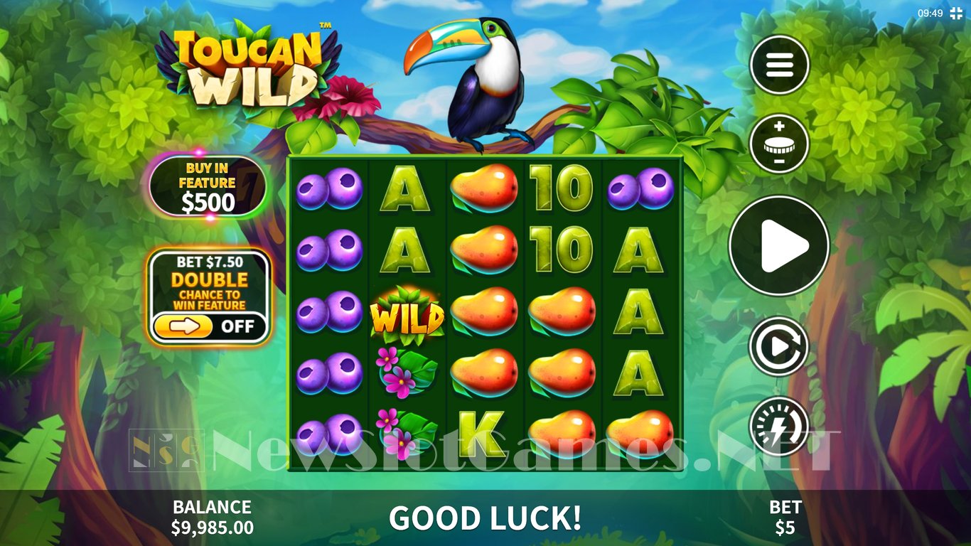 Toucan Wild